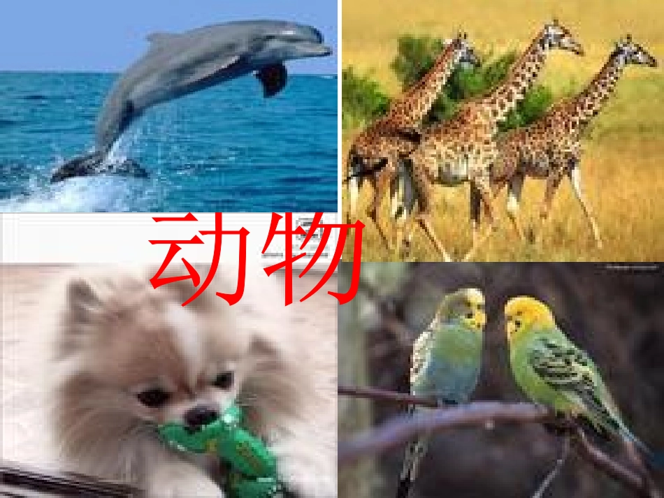 世界因生命而精彩1_第3页