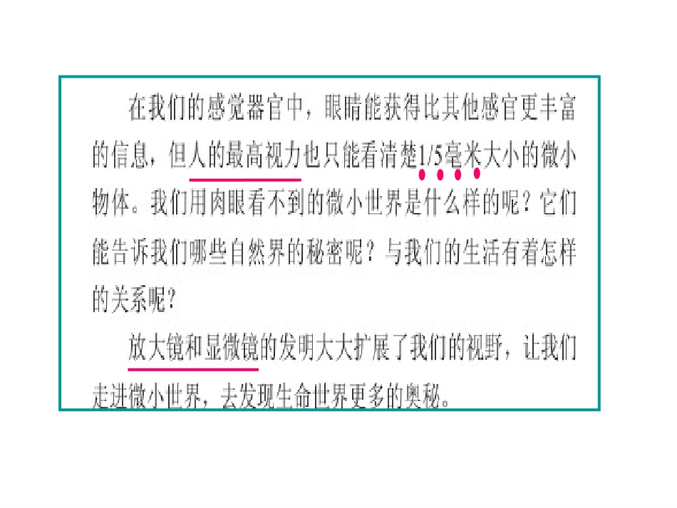 放大镜PPT_第2页