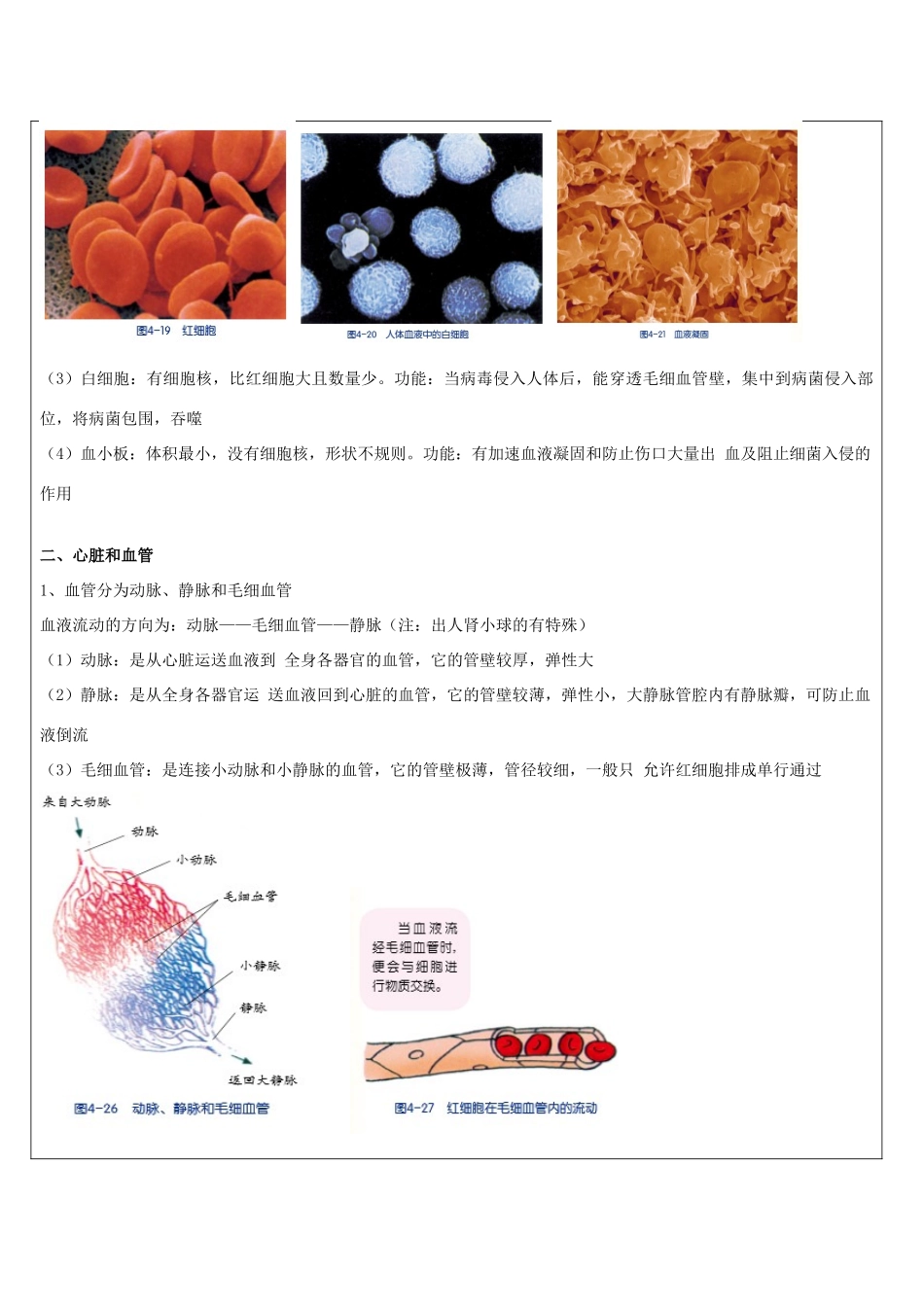 浙江省中考科学讲义复习 九年级科学部分 第11讲 代谢与平衡（二） 浙教版-浙教版初中九年级全册自然科学教案_第3页