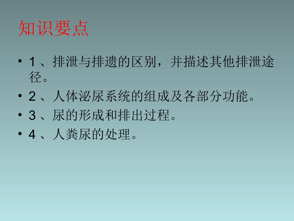 《人体废物的排出》课件1_第2页
