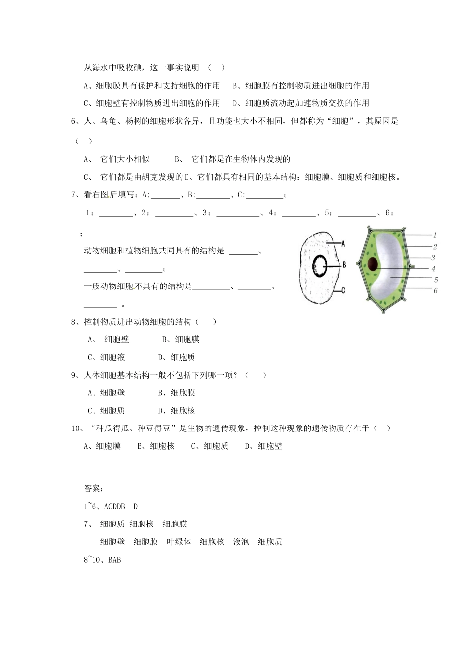 秋七年级科学上册 2.2《细胞》（第1课时）教案 浙教版-浙教版初中七年级上册自然科学教案_第3页