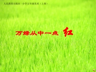 万绿丛中一点红课件