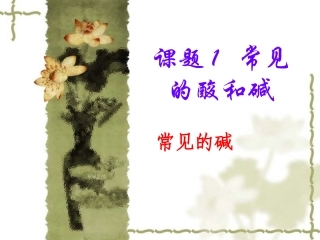 《常见的酸和碱》PPT课件(2)