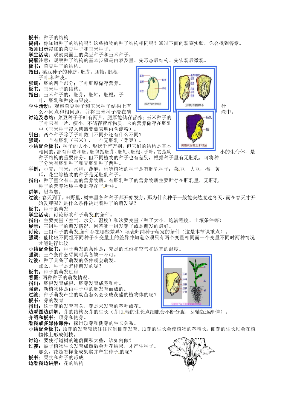 浙江省温岭市城南中学七年级科学下册《3.5 植物的一生》教案_第2页