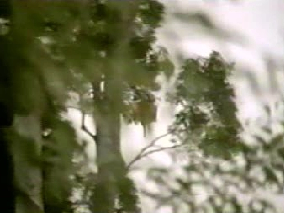 人教版小学语文五年级上册《松鼠》PPT课件_第3页