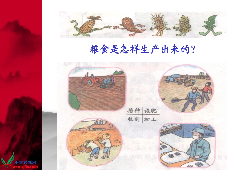 《粮食是个宝》课件_第2页