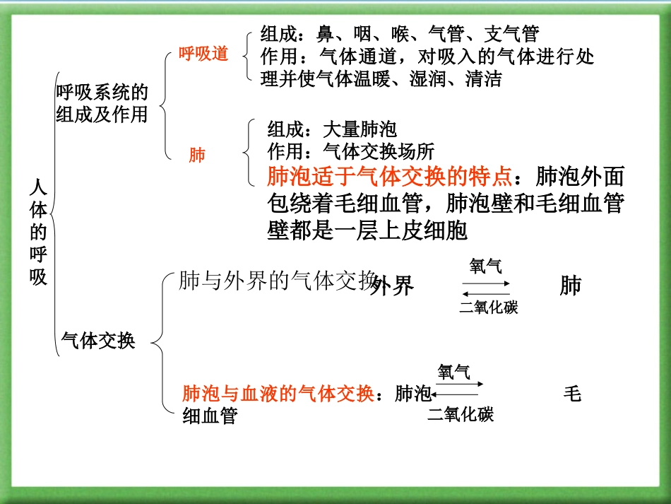 《人体的呼吸》复习课件_第3页