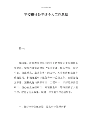 学校审计处年终个人工作总结