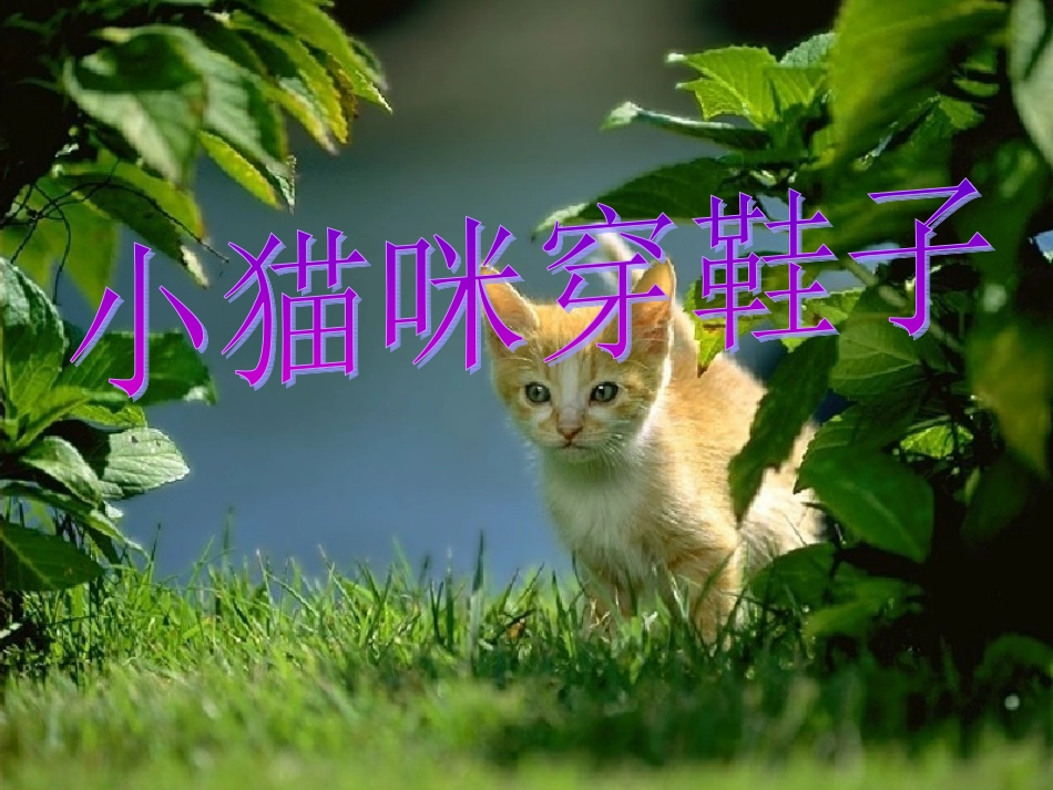 《小猫咪穿鞋子》教学课件_第1页
