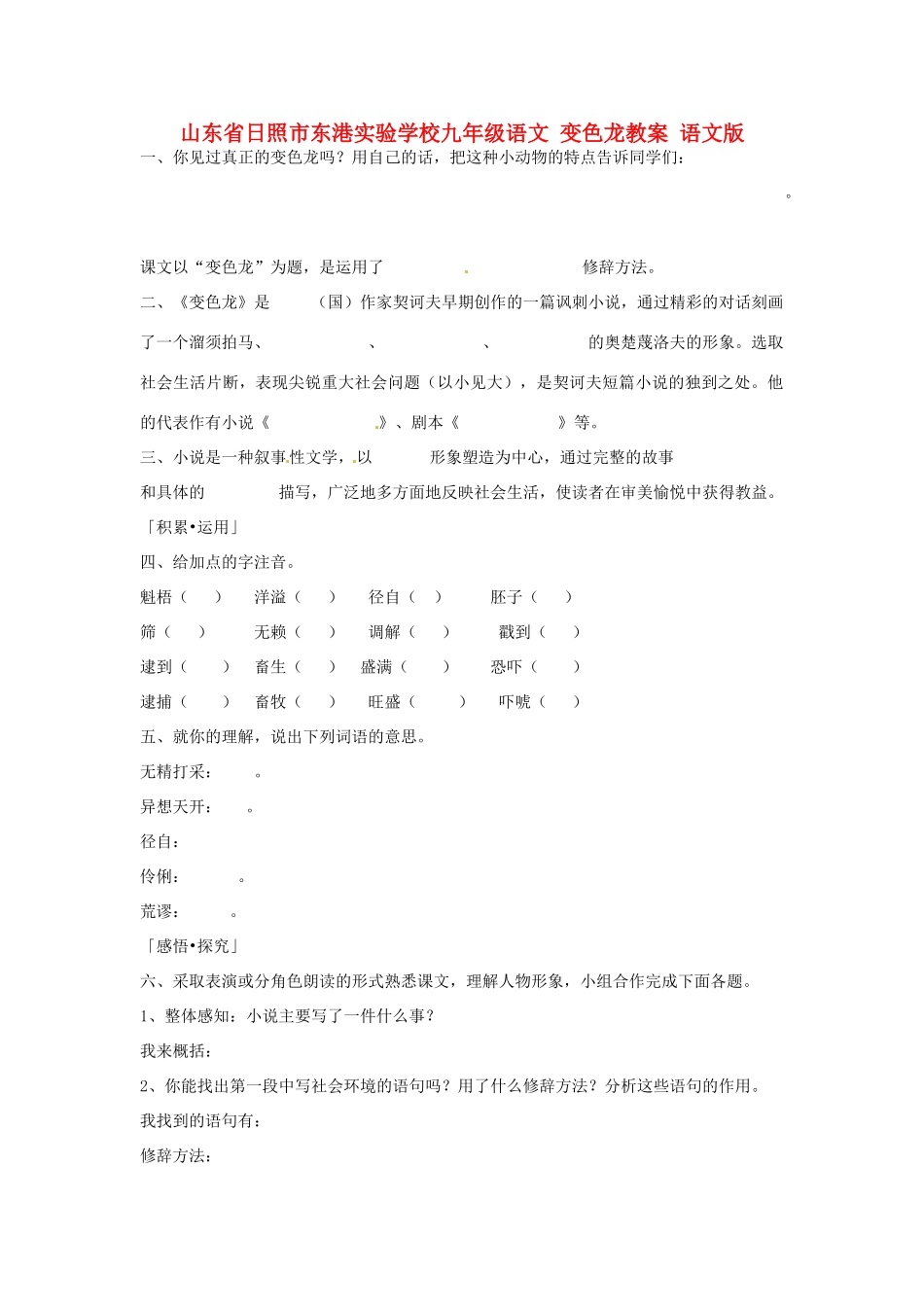 山东省日照市东港实验学校九年级语文 变色龙教案 语文版_第1页