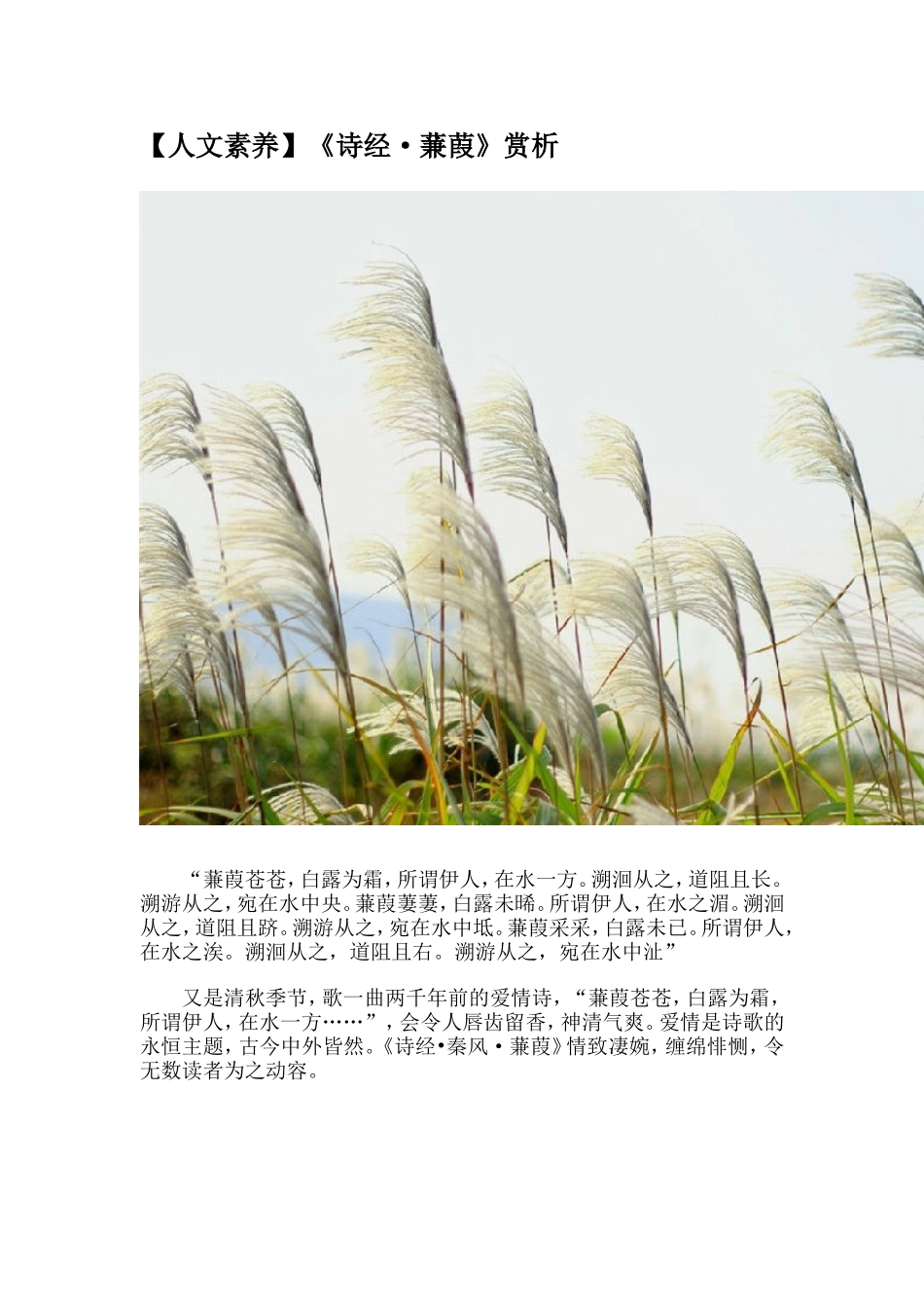 【人文素养】《诗经·蒹葭》赏析_第1页