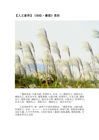 【人文素养】《诗经·蒹葭》赏析
