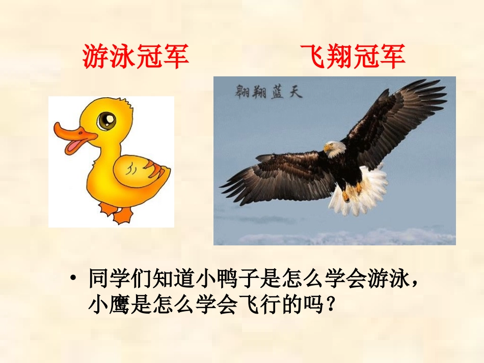 襄阳市第四十七中学黄静自己去吧课件_第2页