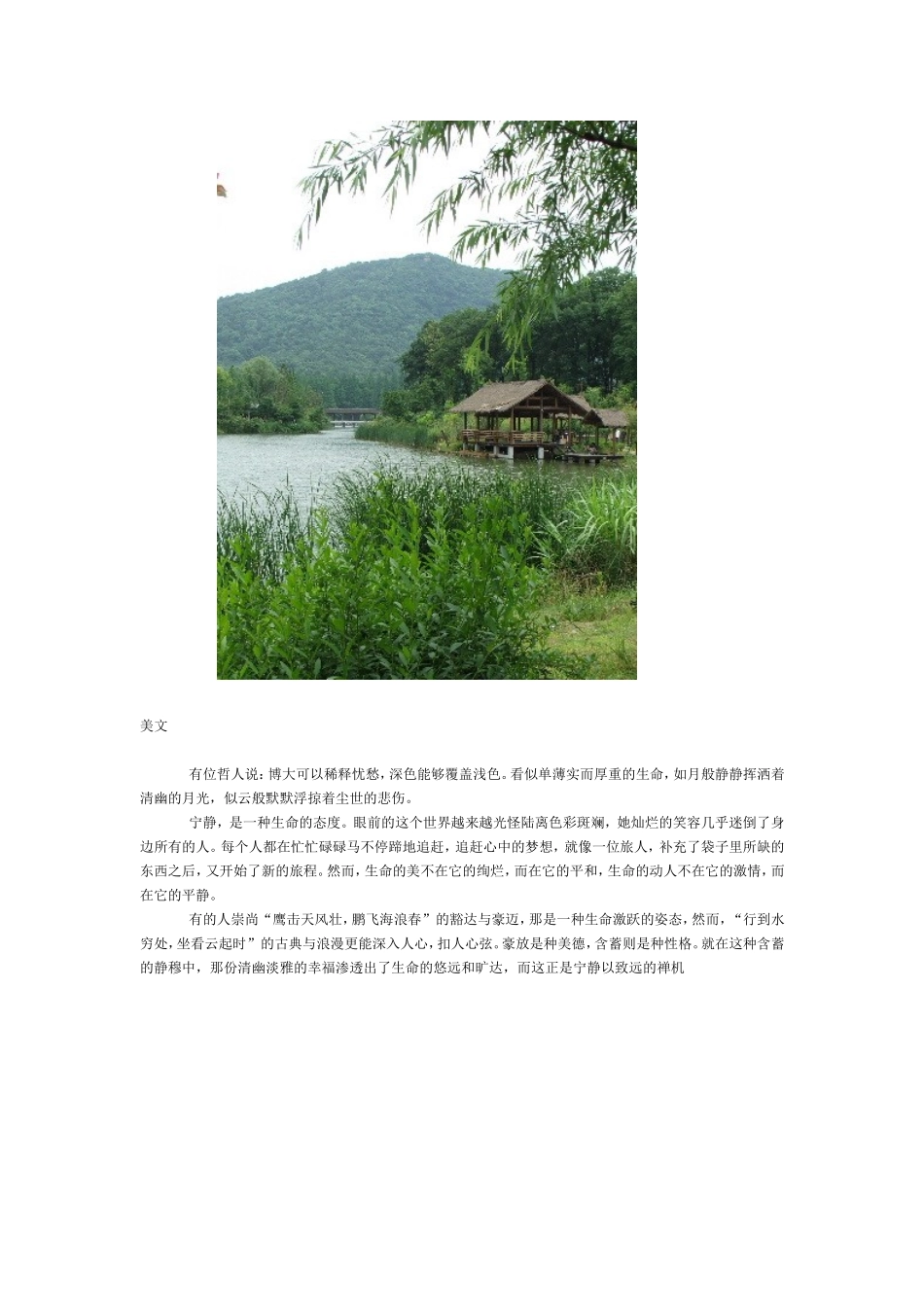 心灵的平静是智慧美丽的珍宝_第2页
