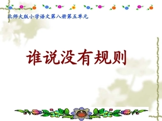 谁说没有规则