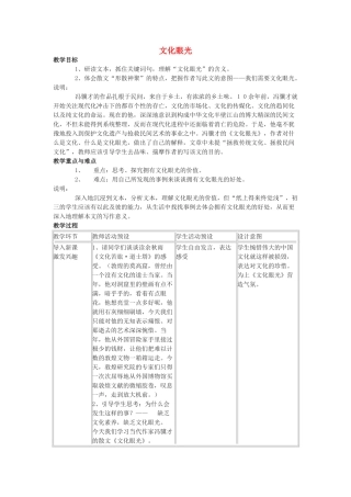 九年级语文下册 第1课《文化眼光》教案 沪教版