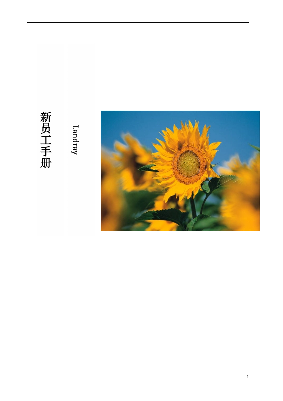 新员工手册范本_第1页