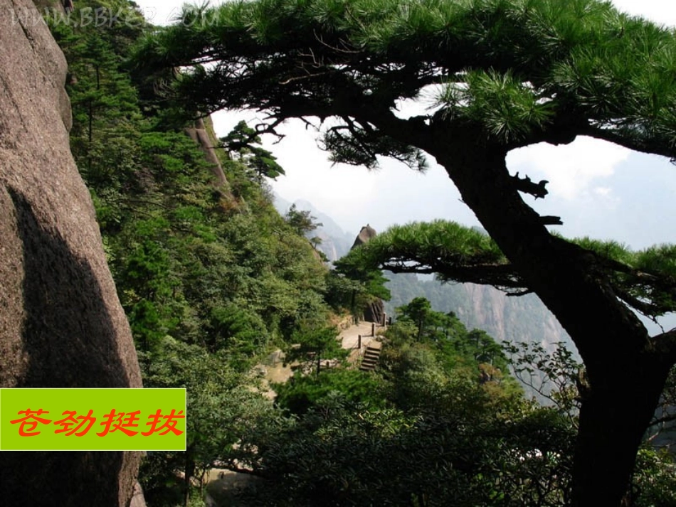 《苍松怪石图题诗》课件_第3页