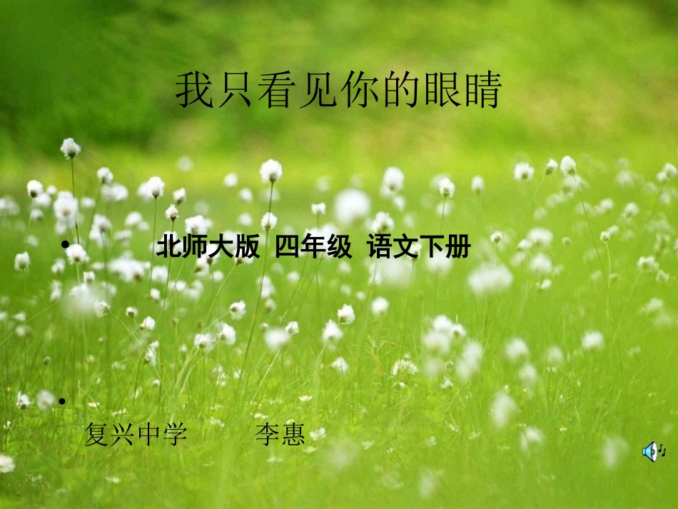 北师大版小学语文四年级下册《我只看见你的眼睛》课件_第1页