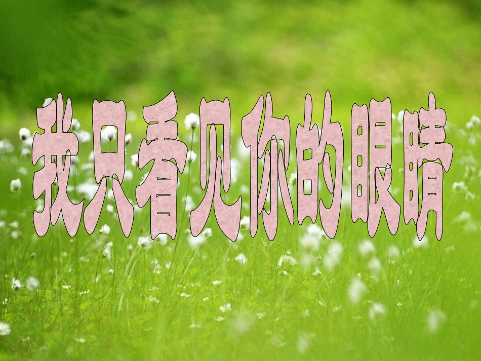 北师大版小学语文四年级下册《我只看见你的眼睛》课件_第2页