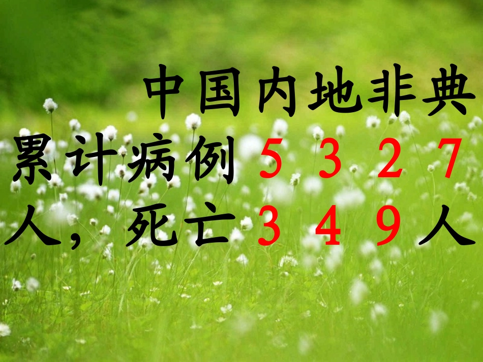 北师大版小学语文四年级下册《我只看见你的眼睛》课件_第3页