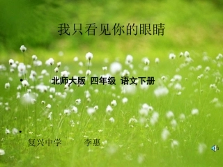 北师大版小学语文四年级下册《我只看见你的眼睛》课件