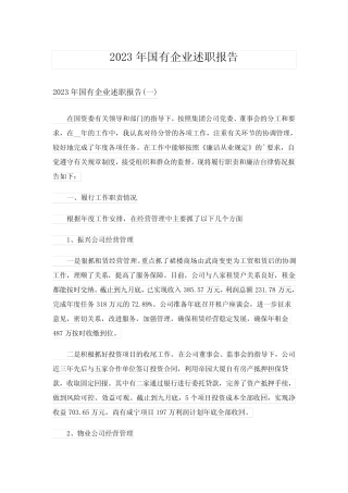 2023年国有企业述职报告