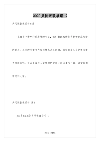 2024共同还款承诺书_19