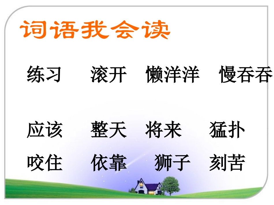 《两只小狮子》课件3_第3页