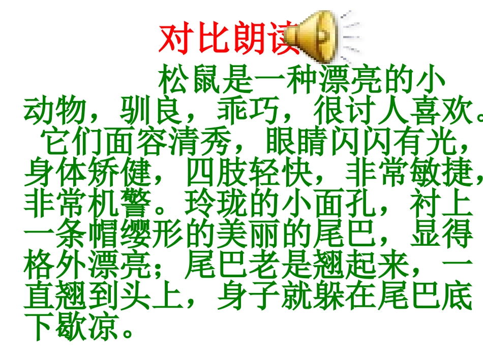 跑进家来的松鼠课件（李刚）_第1页