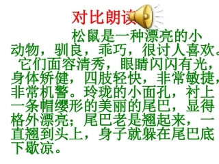 跑进家来的松鼠课件（李刚）