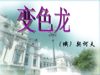 《变色龙》张盼