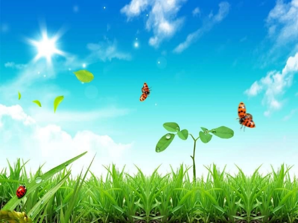 生物入侵者MicrosoftPowerPoint演示文稿_第1页