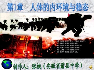 细胞生活的环境