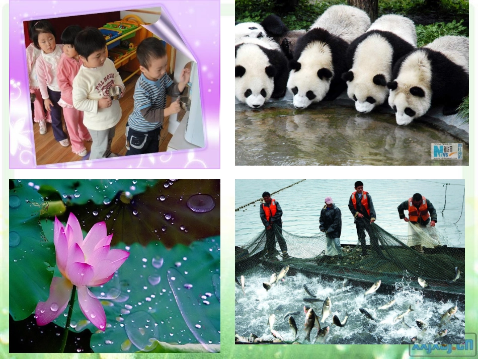 三年级综合实践节约用水课件_第2页