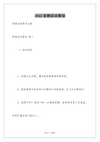 2024促销活动策划_52
