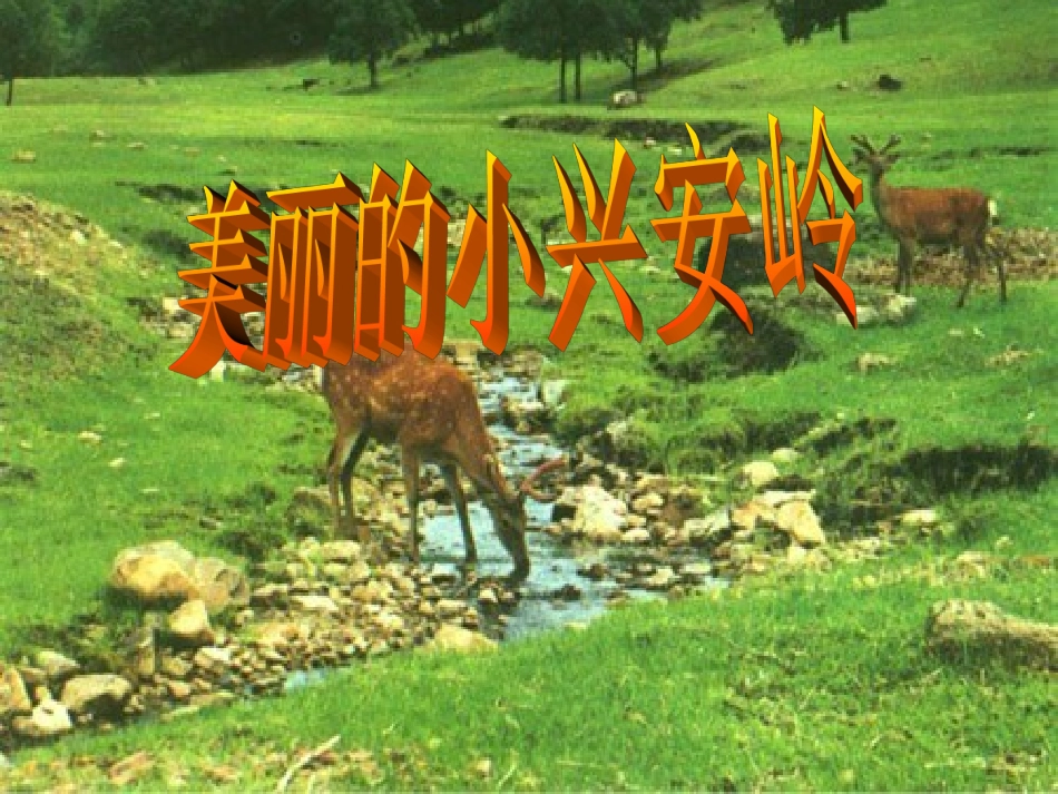 小学三年级上册语文第二十三课美丽的小兴安岭PPT课件2_第1页