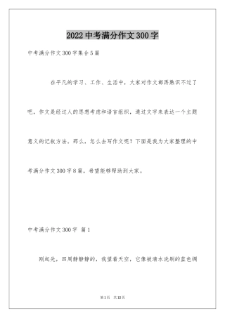 2024中考满分作文300字_24