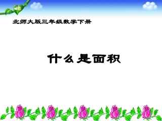 《什么是面积》