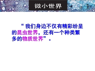 放大镜下的晶体liang