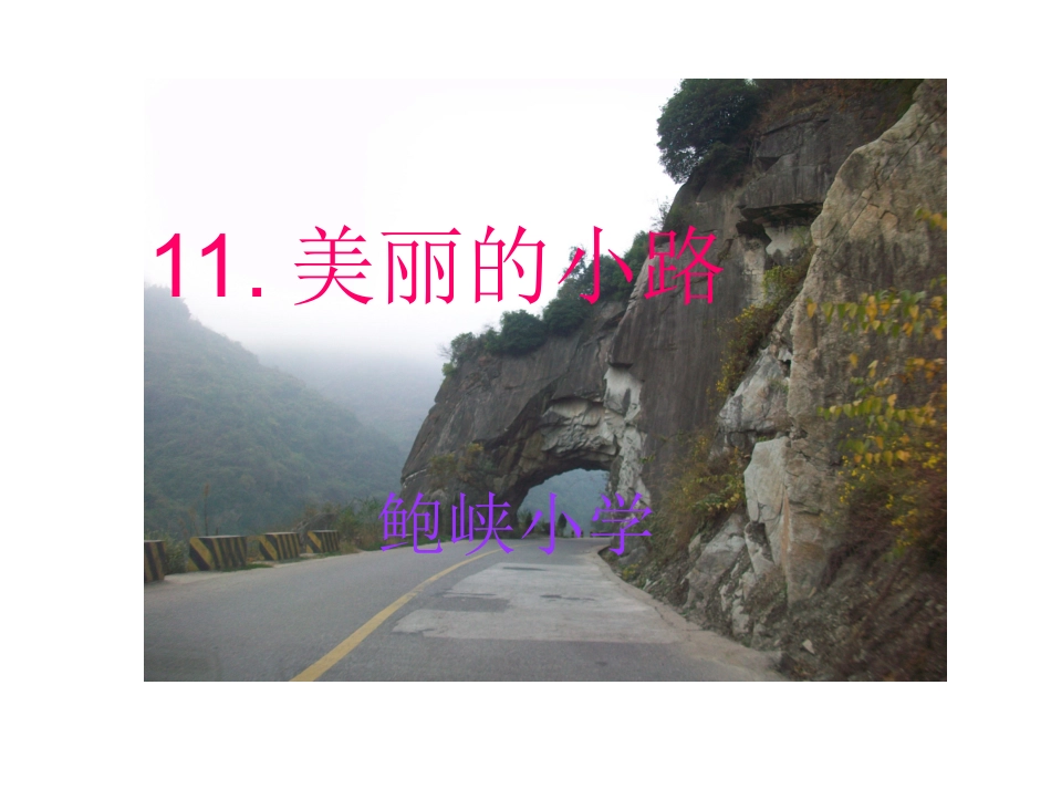 人教课标版一下美丽的小路课件_第1页