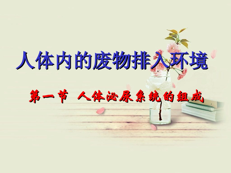 人体泌尿系统的组成_第1页