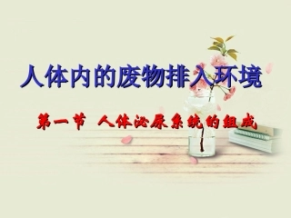 人体泌尿系统的组成