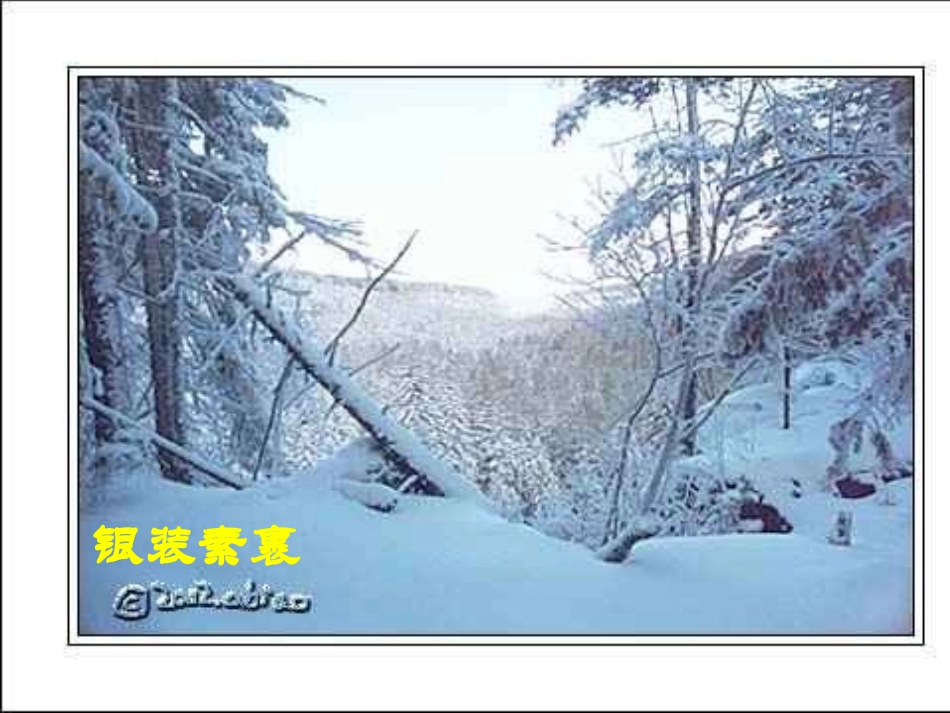 地下森林断想 (2)_第1页