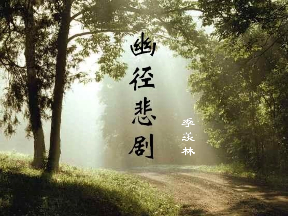 《幽径悲剧》_第1页