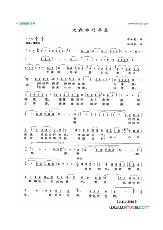 大森林的早晨Doc2