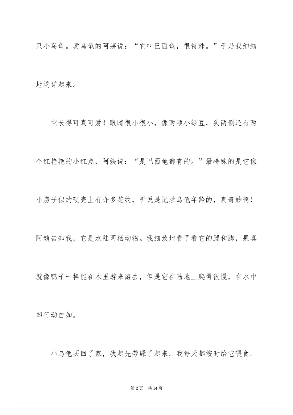 2024乌龟的三年级作文300字_第2页