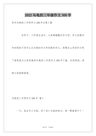 2024乌龟的三年级作文300字
