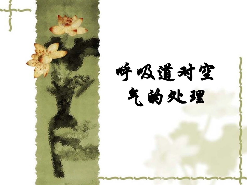 呼吸道的作用_第1页