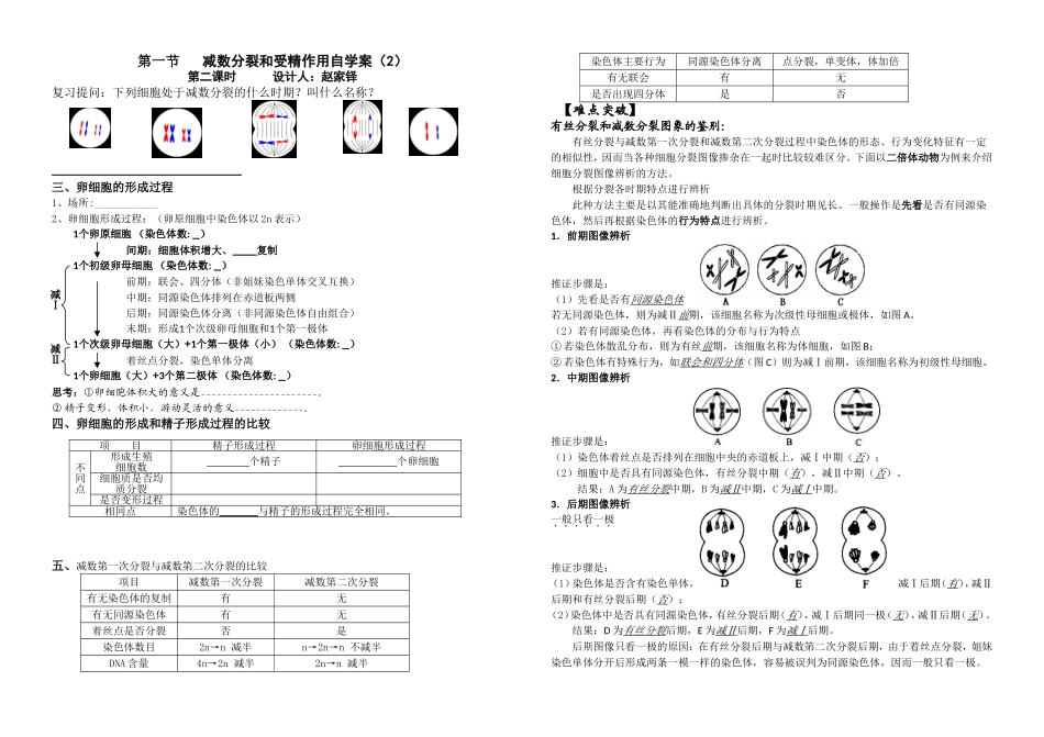 减数分裂和受精作用自学案_第1页